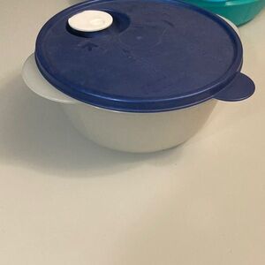 Tupperware Blue and White Food Storage Bowl
